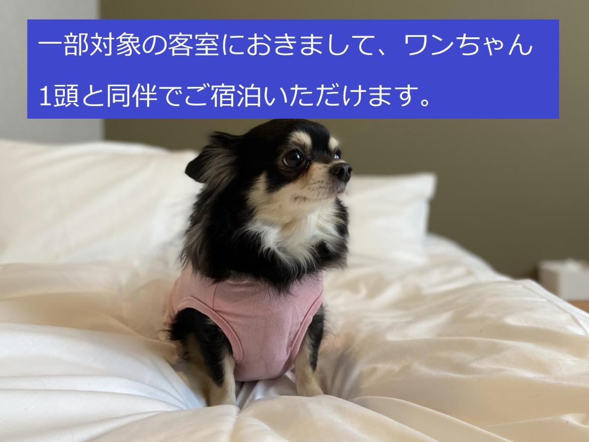 Imano Osaka Shinsaibashi Hostel Экстерьер фото